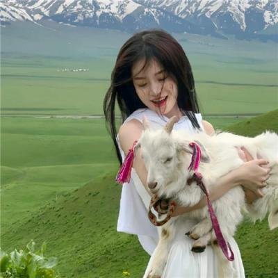 赌王大骗局国语