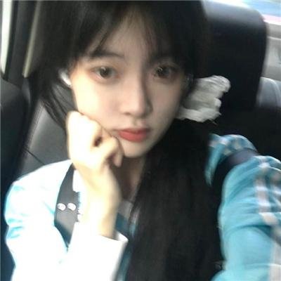 文豪野犬第四季