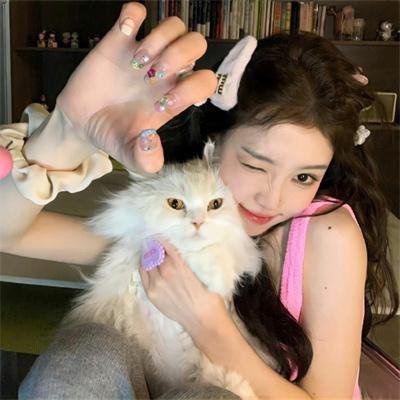 不进花瓶的洋甘菊